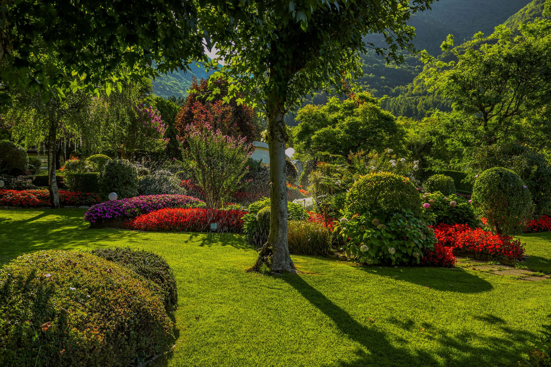 A beautiful garden with colorful flowers and lush greenery on a sunny day, perfect summer setting.